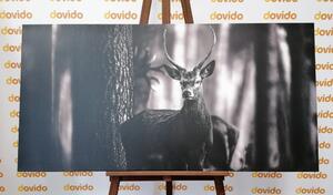 Slika jelen u šumi u crno-bijelom dizajnu