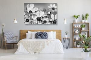 Slika ljetno cvijeće u crno-bijelom dizajnu