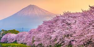 Slika prekrasni Japan