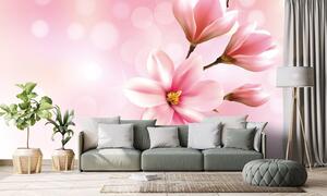 Tapeta nježna ružičasta magnolija