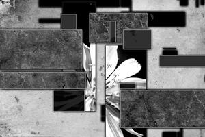 Slika apstrakcija u crno-bijelom dizajnu