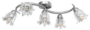 VidaXL Stropna svjetiljka sa staklenim sjenilima za 5 žarulja E14