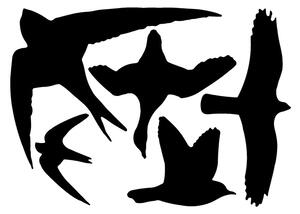 Set crnih samoljepljivih naljepnica za prozor Esschert Design Birds