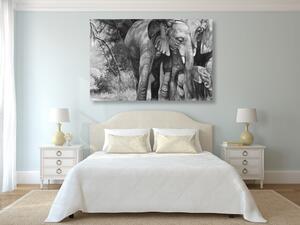 Slika obitelj slonova u crno-bijelom dizajnu