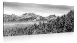 Slika smrznute planine u crno-bijelom dizajnu