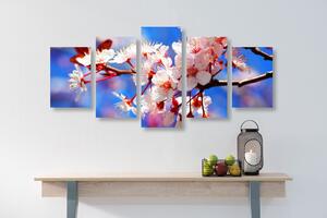5-dijelna slika cvijet trešnje