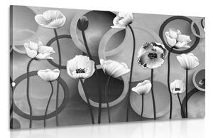 Slika makovi na apstraktnoj pozadini u crno-bijelom dizajnu