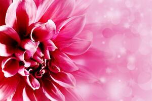 Slika ružičasti cvijet