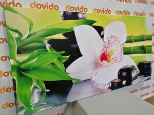 Slika orhideja s japanskom tematikom