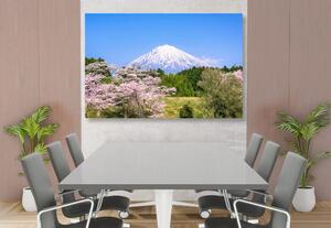 Slika vulkan Fuji