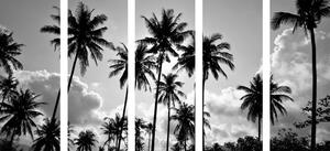 5-dijelna slika kokosove palme na plaži u crno-bijelom dizajnu