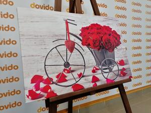 Slika bicikl pun ruža