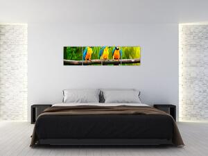 Moderna slika - papige (160x40cm) (F006048F16040)