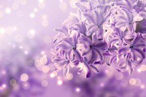 Slika ljubičasti cvijet jorgovana
