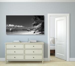 Slika plaža Anse Source u crno-bijelom dizajnu - 100x50