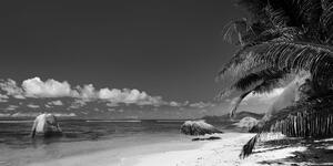 Slika plaža Anse Source u crno-bijelom dizajnu