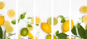 5-dijelna slika mješavina citrusa