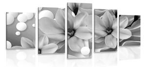 5-dijelna slika crno-bijela magnolija na apstraktnoj pozadini