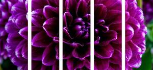 5-dijelna slika purpurno-ljubičasti cvijet