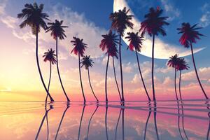 Slika zalazak sunca iznad tropskih palmi