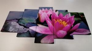 5-dijelna slika ružičasti lotosov cvijet
