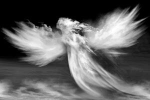 Slika anđeo u oblacima u crno-bijelom dizajnu