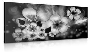 Slika fantazija cvijeća u crno-bijelom dizajnu