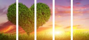 5-dijelna slika stablo u obliku srca na livadi