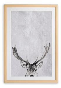 Zidna slika u okviru Surdic Deer, 35 x 45 cm