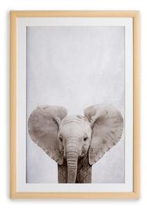 Zidna slika u okviru Surdic Elephant, 30 x 40 cm