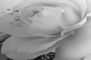 Slika luksuzna ruža s apstrakcijom u crno-bijelom dizajnu
