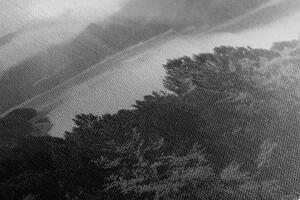 Slika usred šume u crno-bijelom dizajnu