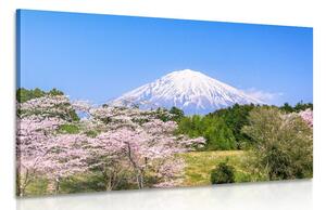 Slika vulkan Fuji