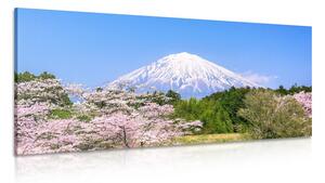 Slika planina Fuji