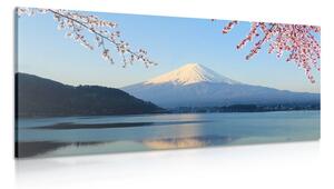 Slika pogled s jezera na Fuji