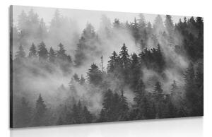 Slika planine u magli u crno-bijelom dizajnu