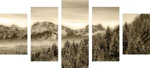 5-dijelna slika smrznute planine u sepijastom tonu