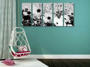 5-dijelna slika livada s proljetnim cvijećem u crno-bijelom dizajnu