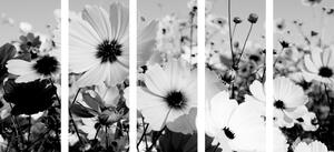 5-dijelna slika livada s proljetnim cvijećem u crno-bijelom dizajnu