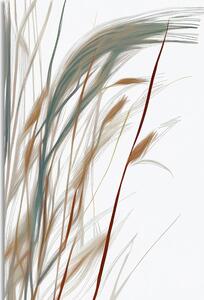 Slika minimalistički vlati trave