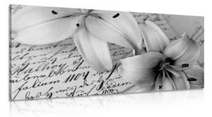 Slika ljiljan na starom dokumentu u crno-bijelom dizajnu