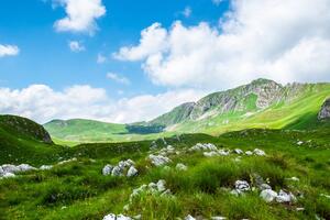 Slika dolina u Crnoj Gori