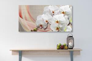 Slika bijela orhideja na platnu