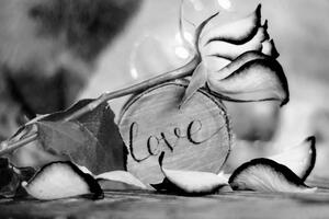 Slika romantična izjava ljubavi u crno-bijelom dizajnu Love