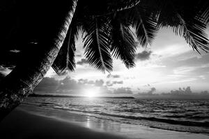 Slika izlazak sunca na karipskoj plaži u crno-bijelom dizajnu