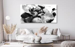 Slika čaroban sklad kamenja i orhideje u crno-bijelom dizajnu