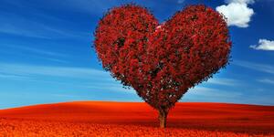 Slika prekrasno stablo u obliku srca