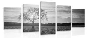 5-dijelna slika usamljeno stablo u crno-bijelom dizajnu