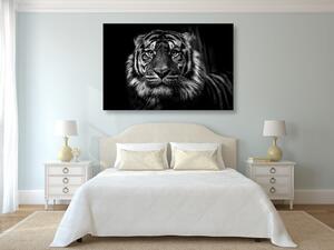 Slika tigar u crno-bijelom dizajnu