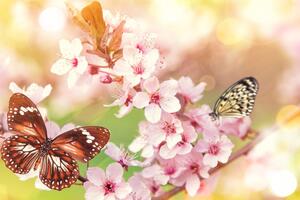 Slika proljetno cvijeće s egzotičnim leptirima